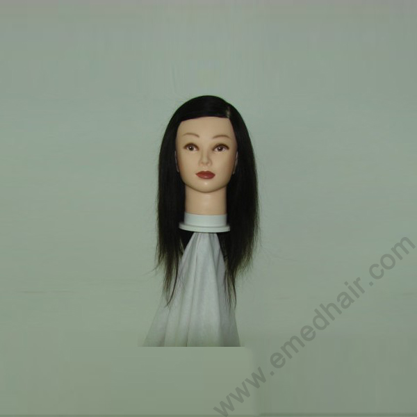 human hair training head